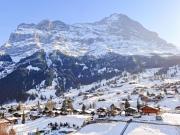 Top Grindelwald