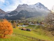 Top Grindelwald