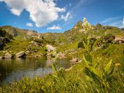 Top Untertauern