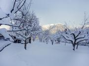 Apartment Untererhof-1 by Interhome