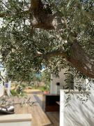 Top Polignano a Mare