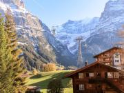 Top Grindelwald