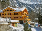 Top Wengen