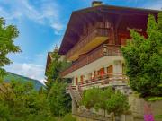 Top Wengen