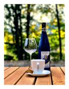 Top Krynica-Zdrój Top Krynica-Zdrój