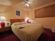 Enjoy the Long Range View, Ski in n out Top of the Mountain condo