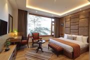 Top Shimla