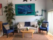 Top Palm Harbor