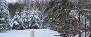 Top Dobele