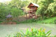 Treehouse Holidays-Lake View