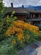 Top Klosters Serneus Top Klosters Serneus