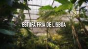Top Lisbon