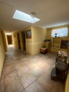 Top Vicuña Top Vicuña