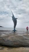 Top Guarapari