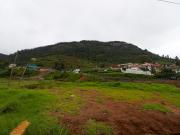 Top Ooty