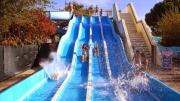 Top Gastes