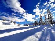 Top Bohinj