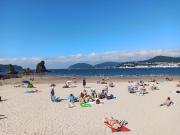 Top Viveiro