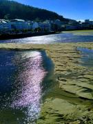 Top Viveiro