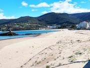 Top Viveiro