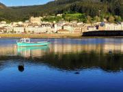 Top Viveiro