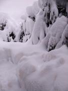 Appartment Sandra Obkircher