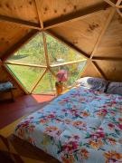 Top Curarrehue Top Curarrehue