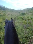 Heavenly Stables Self Catering Accommodation