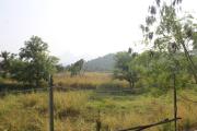 Top Badlapur