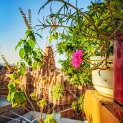 Top Jaisalmer
