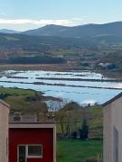 Top Suances
