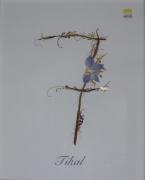 La Posada del Tiétar