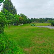Top Thalang