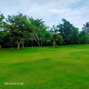 Top Thalang