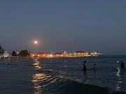 Top Hammamet