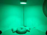 Top Guidonia Top Guidonia