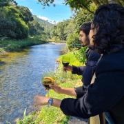 Pousada Remanso do Rio Preto