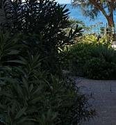 Top Lefkandi Chalkidas