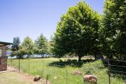 Top Dullstroom