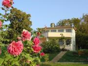 St.Nikola Holiday Home