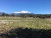 Top Puerto Varas Top Puerto Varas