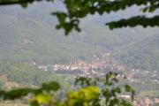 Top Mitzach