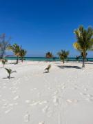 Top Koh Rong