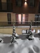 “Apartment Golden Peace”