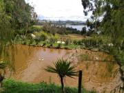 Top Chocontá Top Chocontá