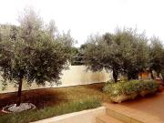 Top Vodnjan