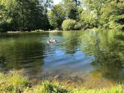 Top Annay-sur-Serein