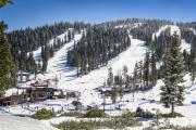 Top Truckee