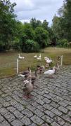 Top Poços de Caldas
