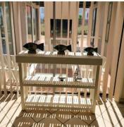 Dream Catcher Mykonos Beach House